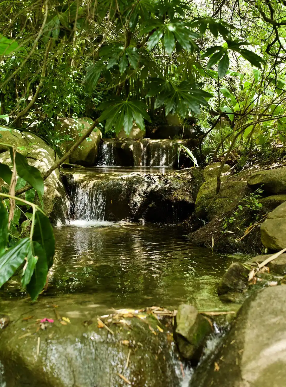 Lisbon museum: A small waterfall in the Calouste Gulbenkian Foundation garden